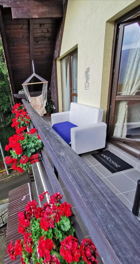 Apartament Kalinderu K1 Буштені Екстер'єр фото