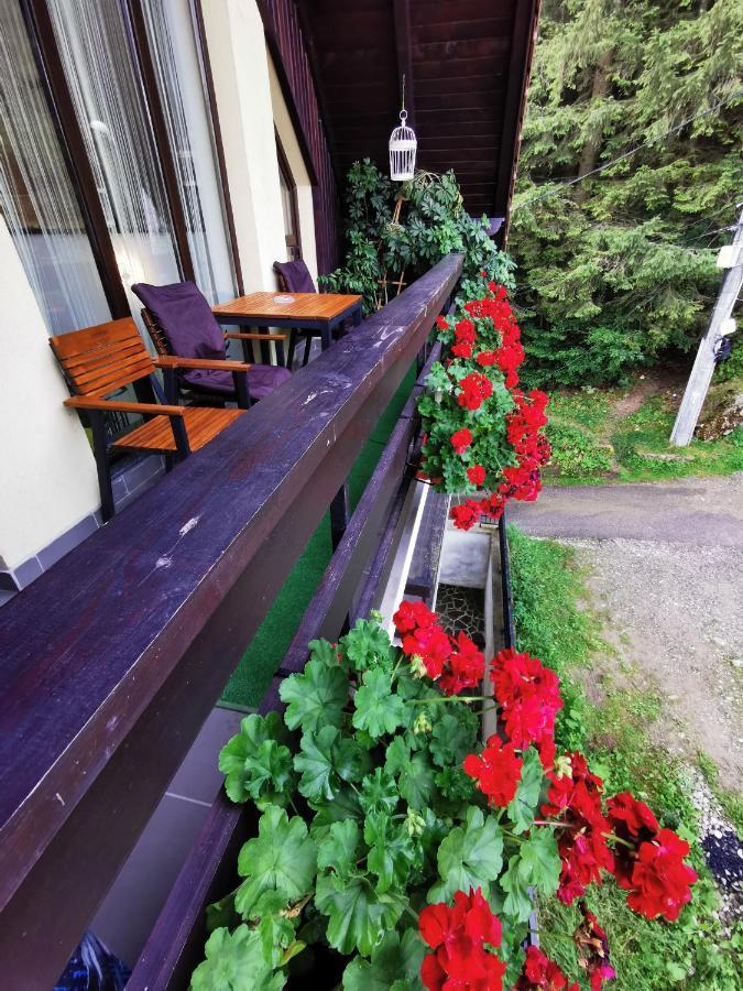Apartament Kalinderu K1 Буштені Екстер'єр фото