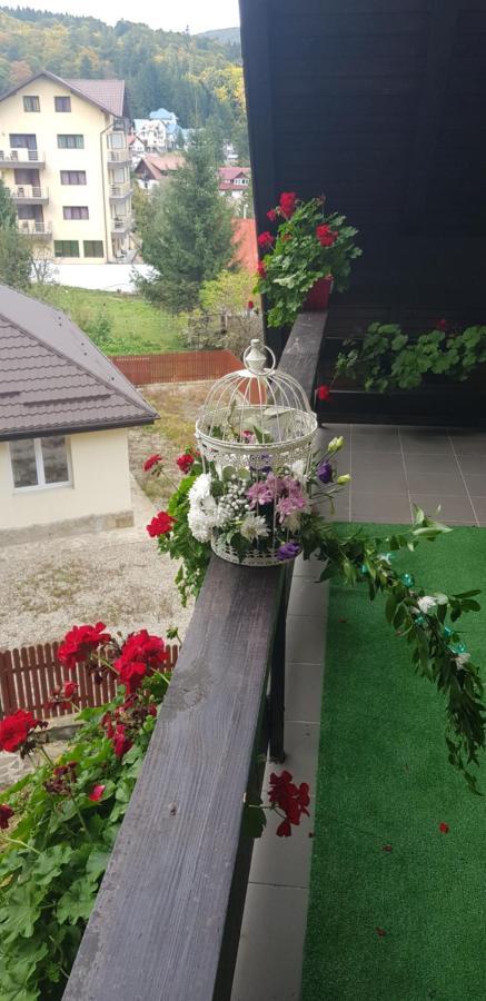 Apartament Kalinderu K1 Буштені Екстер'єр фото
